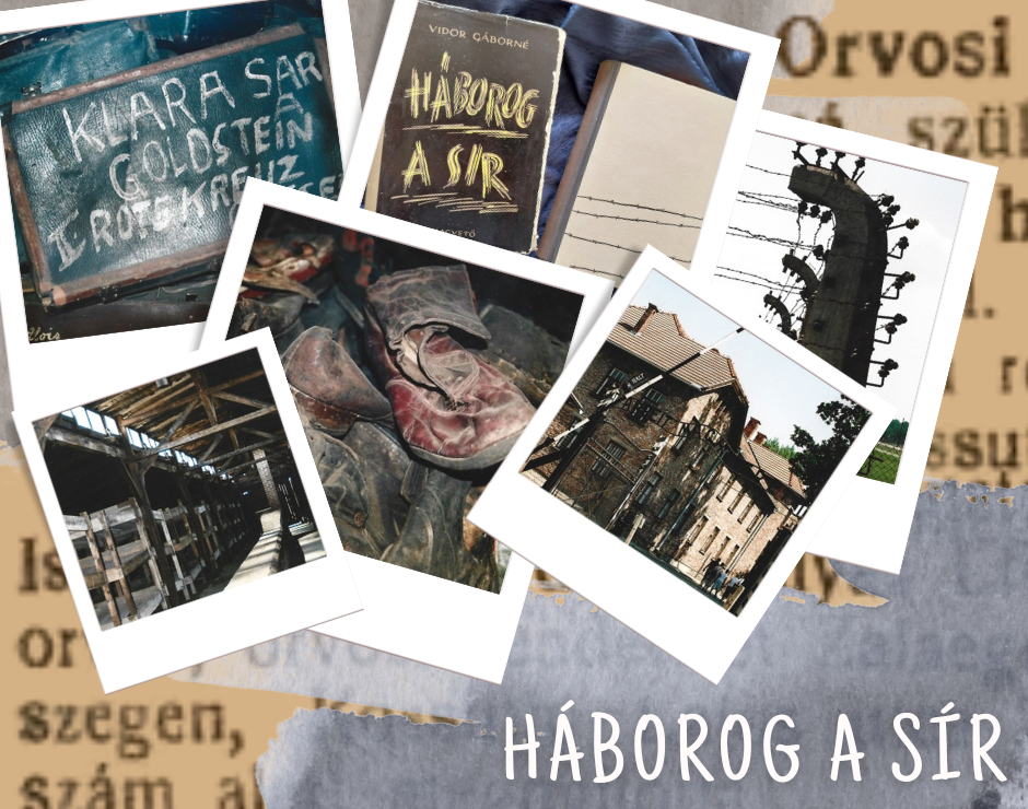 H�borog a s�r